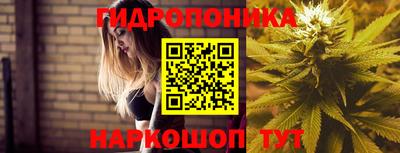 гашик Волгодонск