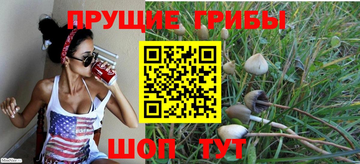 Псилоцибиновые грибы Psilocybe  Лесозаводск 