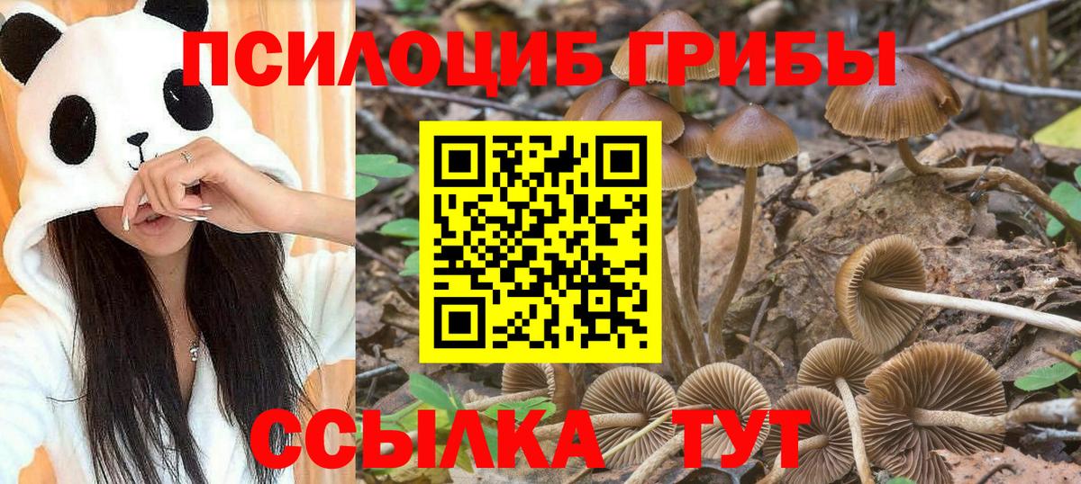 Псилоцибиновые грибы мухоморы  Вход с VPN  цены наркотик  Галлюциногенные грибы MAGIC MUSHROOMS  Лесозаводск 