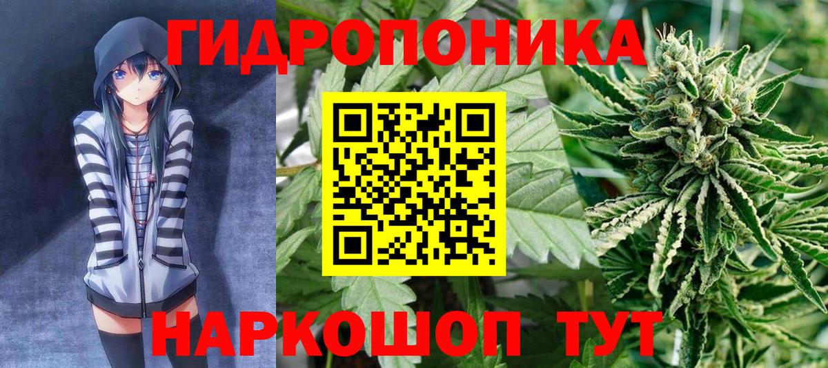 Лесозаводск  Канабис AK-47  Вход с VPN  Конопля SATIVA & INDICA 